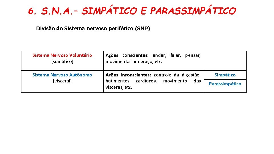 6. S. N. A. – SIMPÁTICO E PARASSIMPÁTICO Divisão do Sistema nervoso periférico (SNP) 6. S. N. A. – SIMPÁTICO E PARASSIMPÁTICO Divisão do Sistema nervoso periférico (SNP)