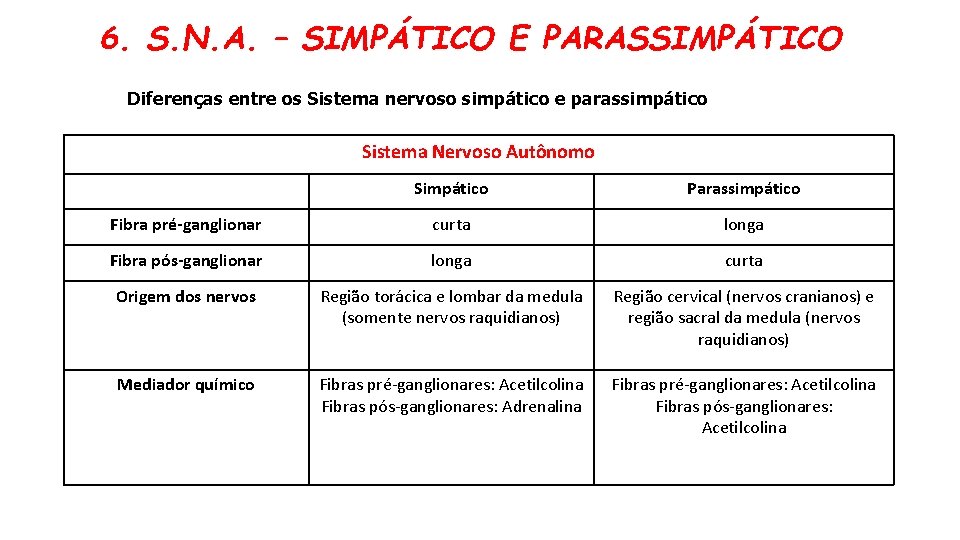 6. S. N. A. – SIMPÁTICO E PARASSIMPÁTICO Diferenças entre os Sistema nervoso simpático 6. S. N. A. – SIMPÁTICO E PARASSIMPÁTICO Diferenças entre os Sistema nervoso simpático