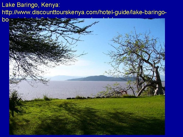 Lake Baringo, Kenya: http: //www. discounttourskenya. com/hotel-guide/lake-baringobogoria-hotels/lake-baringo-country-club/ 