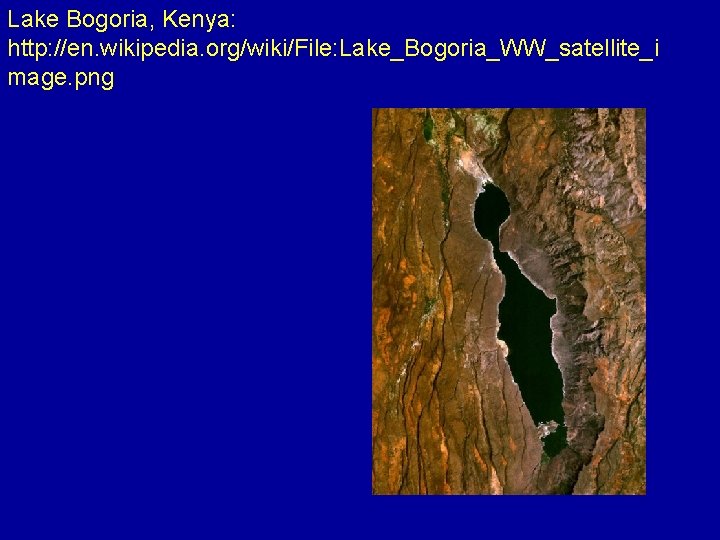 Lake Bogoria, Kenya: http: //en. wikipedia. org/wiki/File: Lake_Bogoria_WW_satellite_i mage. png 