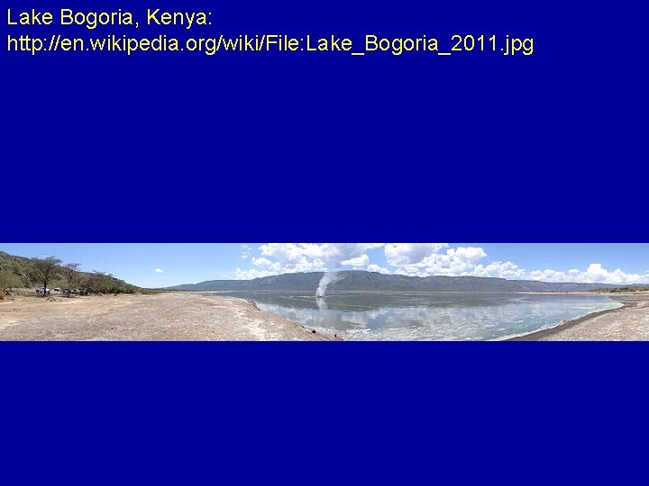 Lake Bogoria, Kenya: http: //en. wikipedia. org/wiki/File: Lake_Bogoria_2011. jpg 