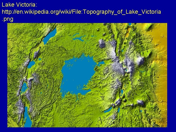 Lake Victoria: http: //en. wikipedia. org/wiki/File: Topography_of_Lake_Victoria. png 