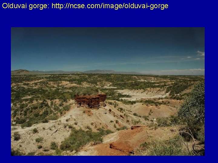 Olduvai gorge: http: //ncse. com/image/olduvai-gorge 