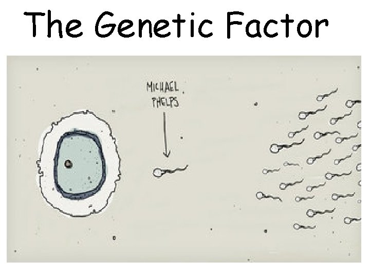 The Genetic Factor 