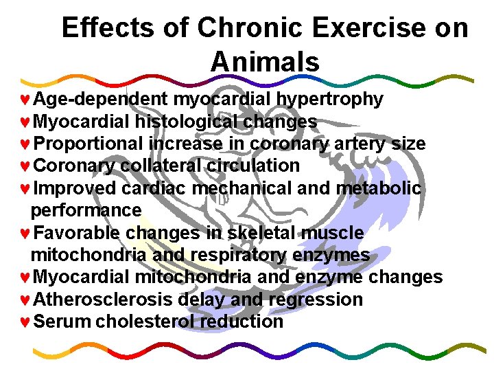 Effects of Chronic Exercise on Animals ©Age-dependent myocardial hypertrophy ©Myocardial histological changes ©Proportional increase