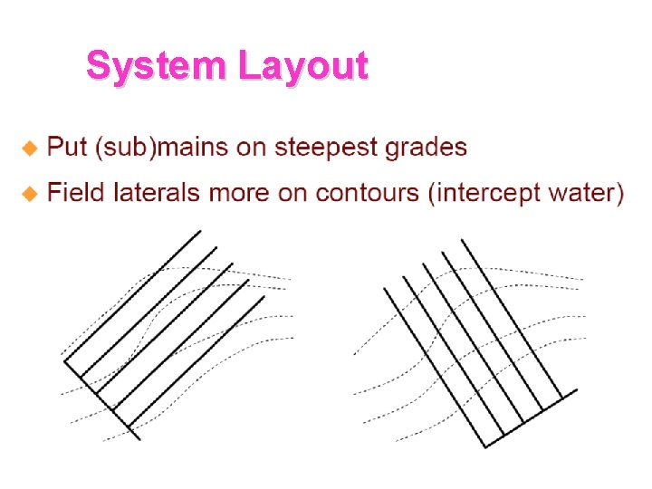 System Layout 