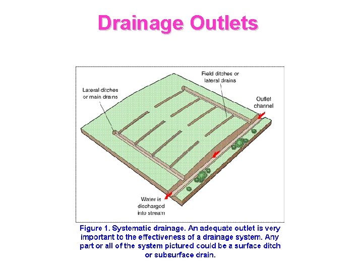 Drainage Outlets 