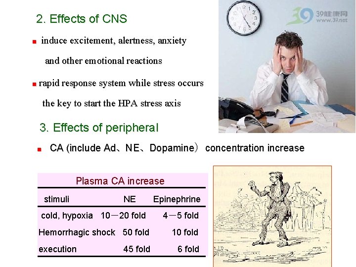 2. Effects of CNS ■ induce excitement, alertness, anxiety and other emotional reactions ■