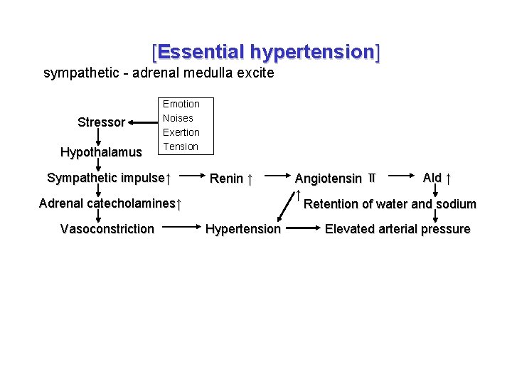 [Essential hypertension] sympathetic - adrenal medulla excite Stressor Hypothalamus Emotion Noises Exertion Tension Sympathetic