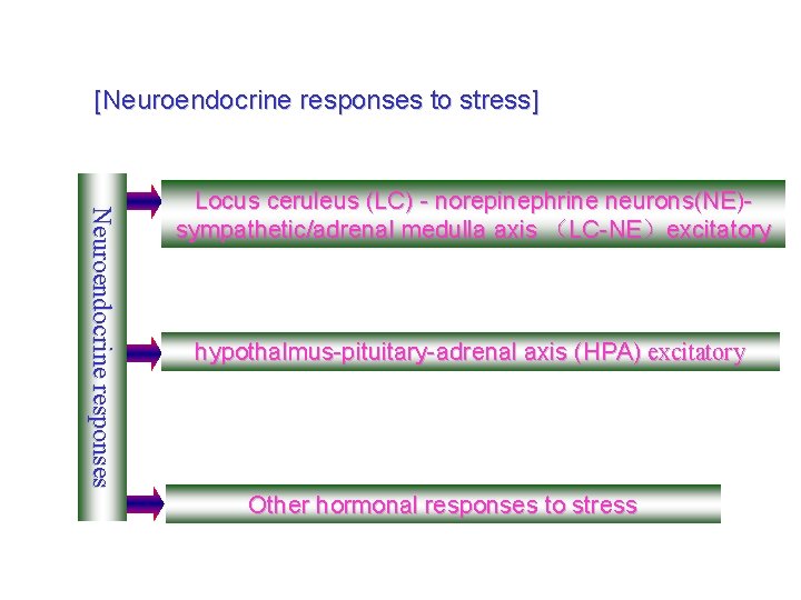 [Neuroendocrine responses to stress] Neuroendocrine responses Locus ceruleus (LC) - norepinephrine neurons(NE)sympathetic/adrenal medulla axis