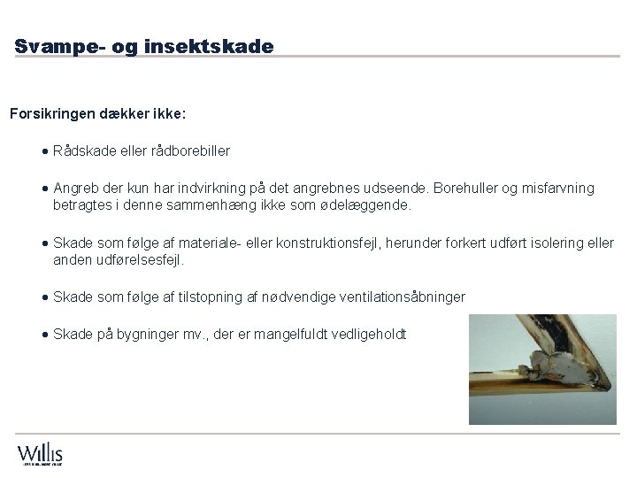 Svampe- og insektskade Forsikringen dækker ikke: · Rådskade eller rådborebiller · Angreb der kun Svampe- og insektskade Forsikringen dækker ikke: · Rådskade eller rådborebiller · Angreb der kun