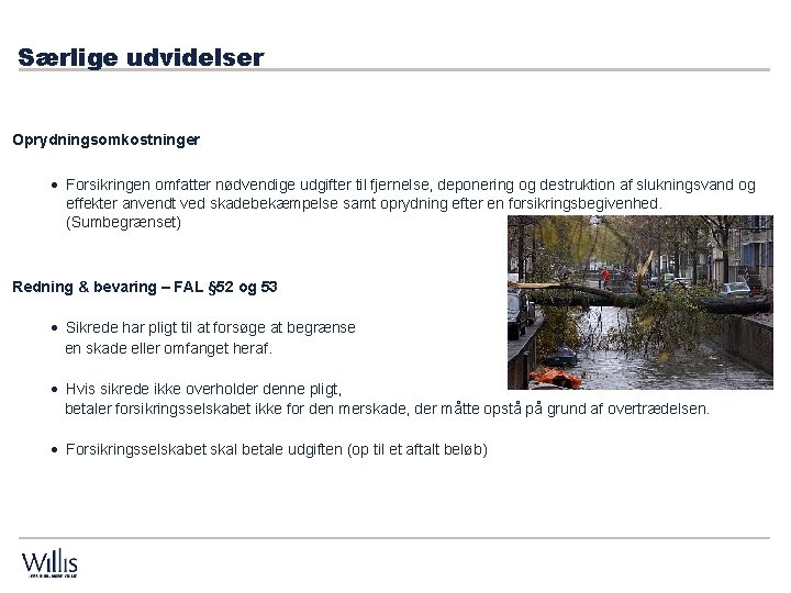 Særlige udvidelser Oprydningsomkostninger · Forsikringen omfatter nødvendige udgifter til fjernelse, deponering og destruktion af Særlige udvidelser Oprydningsomkostninger · Forsikringen omfatter nødvendige udgifter til fjernelse, deponering og destruktion af