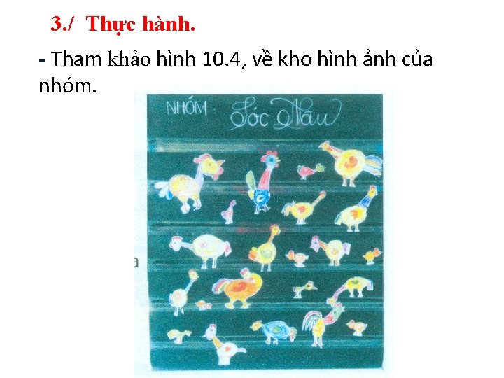 3. / Thực hành. - Tham khảo hình 10. 4, về kho hình ảnh