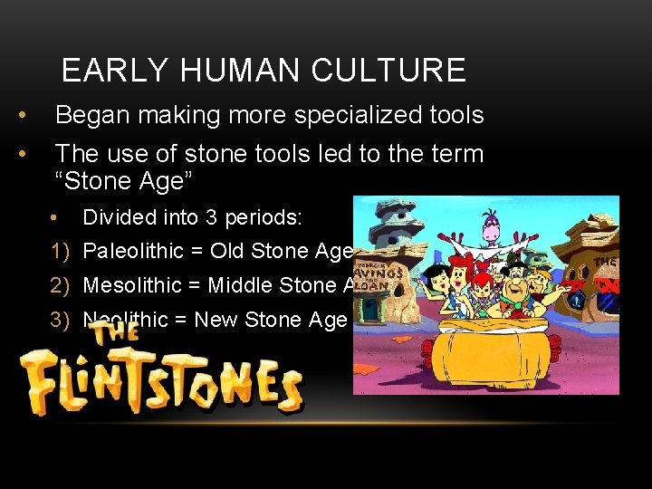 EARLY HUMAN CULTURE • Began making more specialized tools • The use of stone