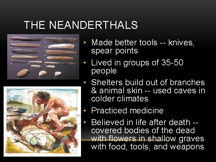 THE NEANDERTHALS • Made better tools -- knives, spear points • Lived in groups