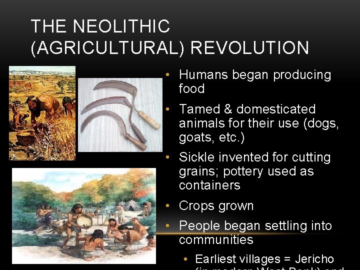 THE NEOLITHIC (AGRICULTURAL) REVOLUTION • Humans began producing food • Tamed & domesticated animals