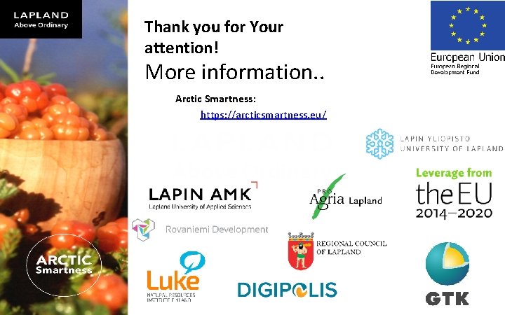 Thank you for Your attention! More information. . Arctic Smartness: https: //arcticsmartness. eu/ 3/5/2021