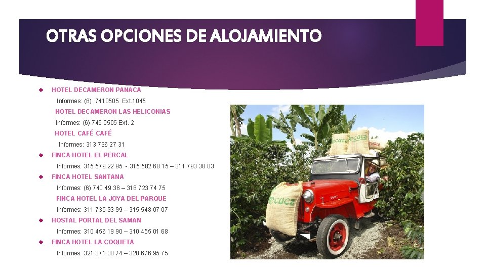 OTRAS OPCIONES DE ALOJAMIENTO HOTEL DECAMERON PANACA Informes: (6) 7410505 Ext. 1045 HOTEL DECAMERON