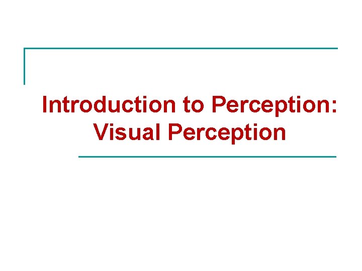 Introduction to Perception: Visual Perception 