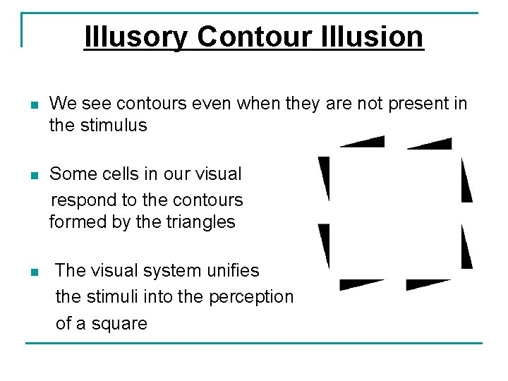 Illusory Contour Illusion n We see contours even when they are not present in