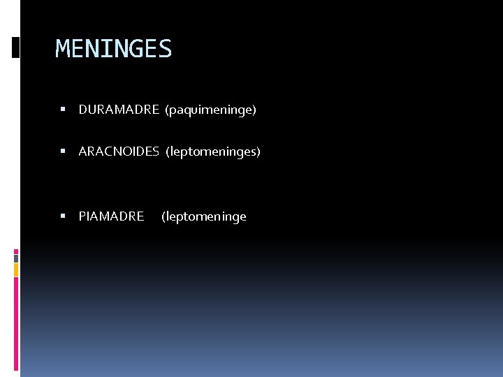 MENINGES DURAMADRE (paquimeninge) ARACNOIDES (leptomeninges) PIAMADRE (leptomeninge 