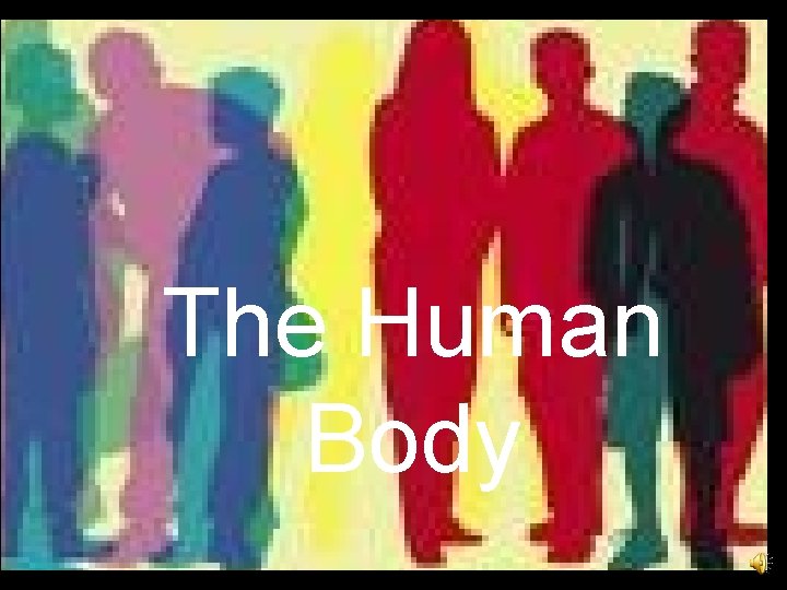 The Human Body 