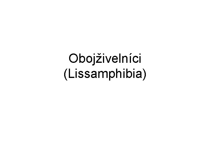 Obojživelníci (Lissamphibia) 