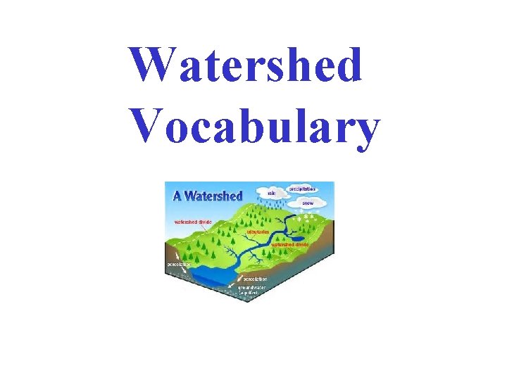 Watershed Vocabulary 