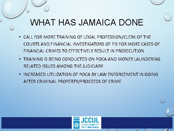 WHAT HAS JAMAICA DONE • CALL FOR MORE TRAINING OF LEGAL PROFESSION/CLERK OF THE