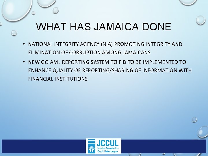 WHAT HAS JAMAICA DONE • NATIONAL INTEGRITY AGENCY (NIA) PROMOTING INTEGRITY AND ELIMINATION OF