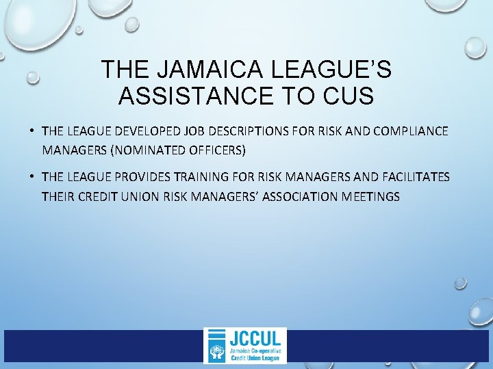 THE JAMAICA LEAGUE’S ASSISTANCE TO CUS • THE LEAGUE DEVELOPED JOB DESCRIPTIONS FOR RISK