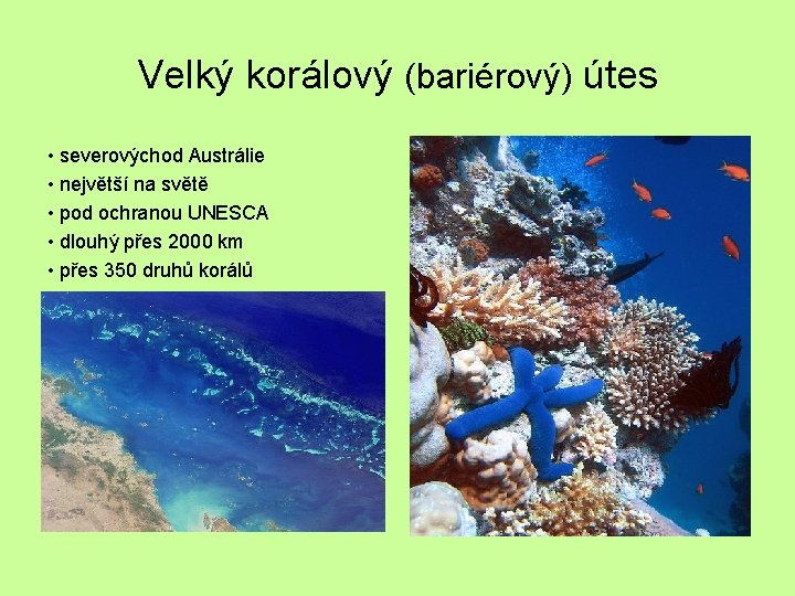 Velký korálový (bariérový) útes • severovýchod Austrálie • největší na světě • pod ochranou