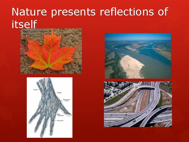 Nature presents reflections of itself 
