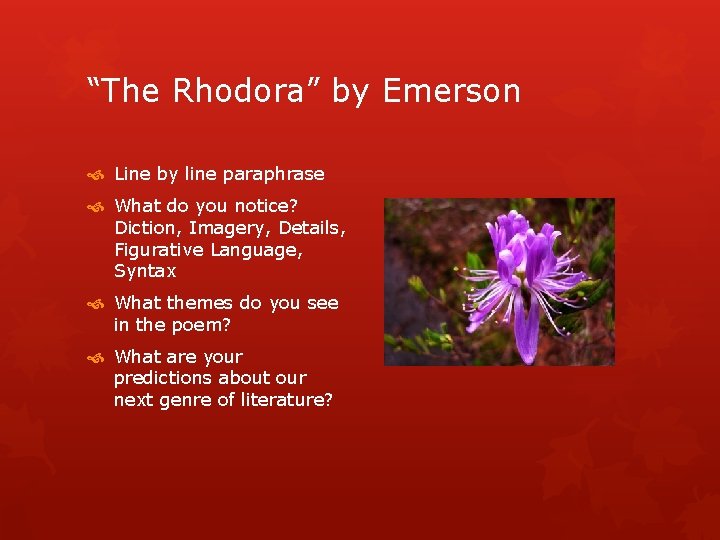 “The Rhodora” by Emerson Line by line paraphrase What do you notice? Diction, Imagery,