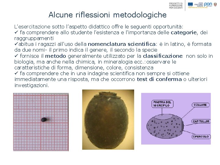 Alcune riflessioni metodologiche L’esercitazione sotto l’aspetto didattico offre le seguenti opportunità: ü fa comprendere Alcune riflessioni metodologiche L’esercitazione sotto l’aspetto didattico offre le seguenti opportunità: ü fa comprendere