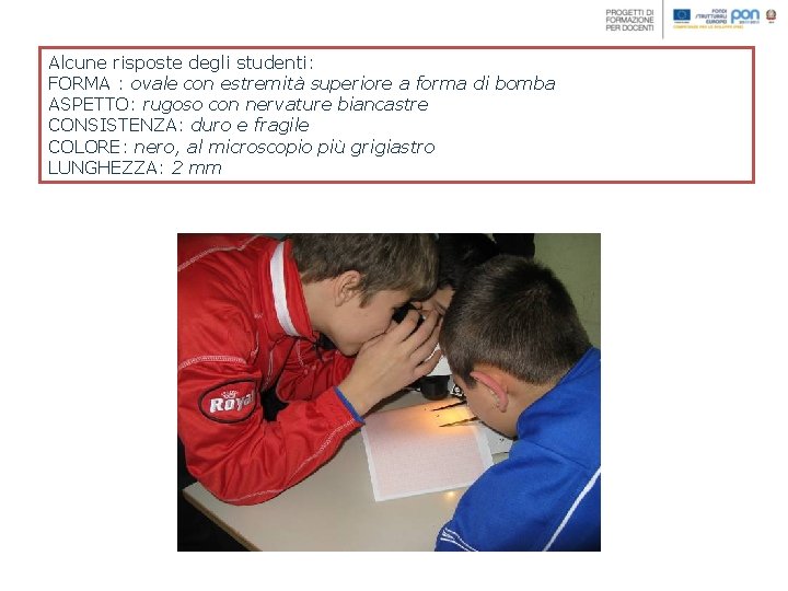 Alcune risposte degli studenti: FORMA : ovale con estremità superiore a forma di bomba Alcune risposte degli studenti: FORMA : ovale con estremità superiore a forma di bomba