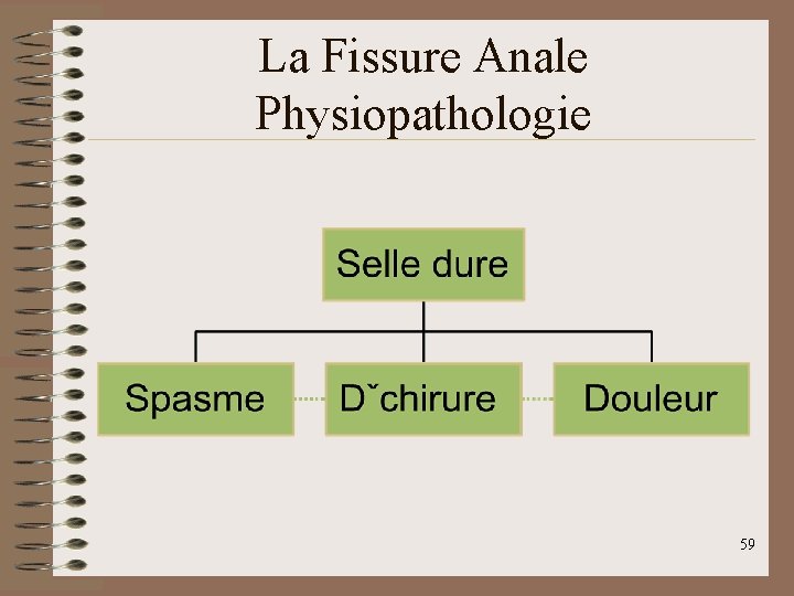 La Fissure Anale Physiopathologie 59 