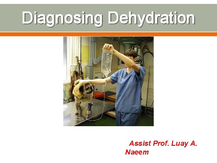 Diagnosing Dehydration Assist Prof. Luay A. Naeem 