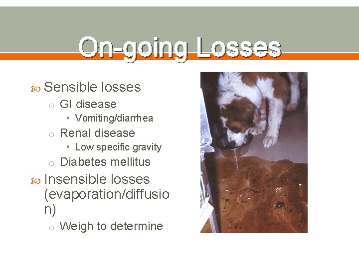 On-going Losses Sensible losses o GI disease • Vomiting/diarrhea o Renal disease • Low