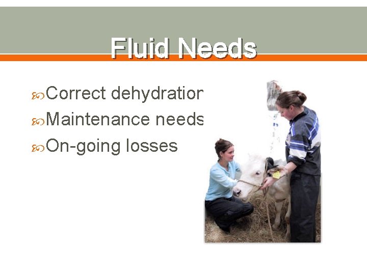 Fluid Needs Correct dehydration Maintenance needs On-going losses 