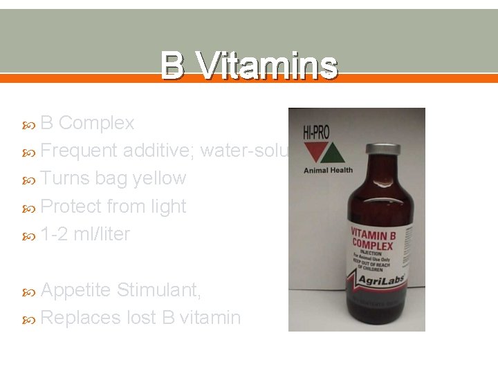 B Vitamins B Complex Frequent additive; water-soluble effects Turns bag yellow Protect from light