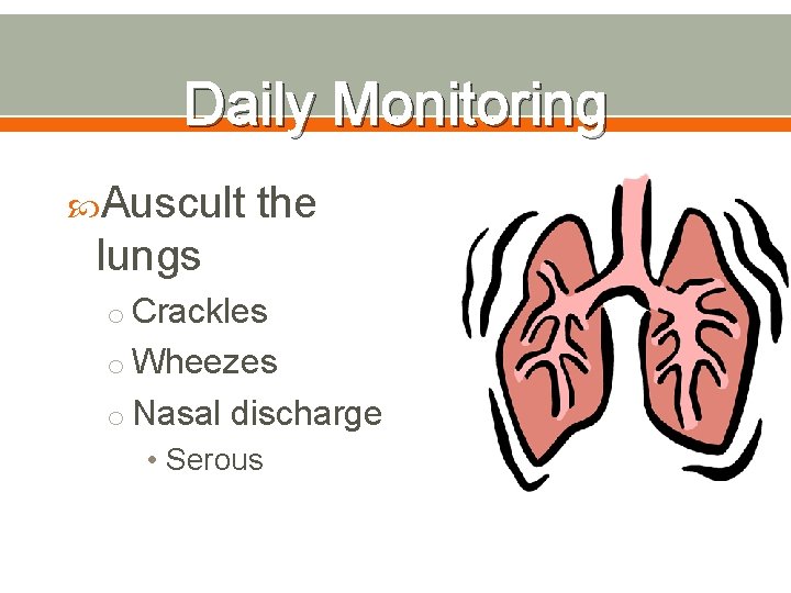 Daily Monitoring Auscult the lungs o Crackles o Wheezes o Nasal discharge • Serous