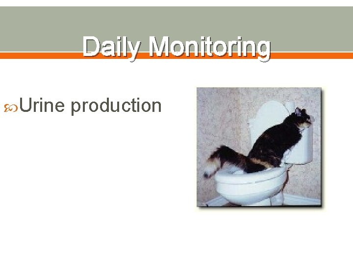 Daily Monitoring Urine production 
