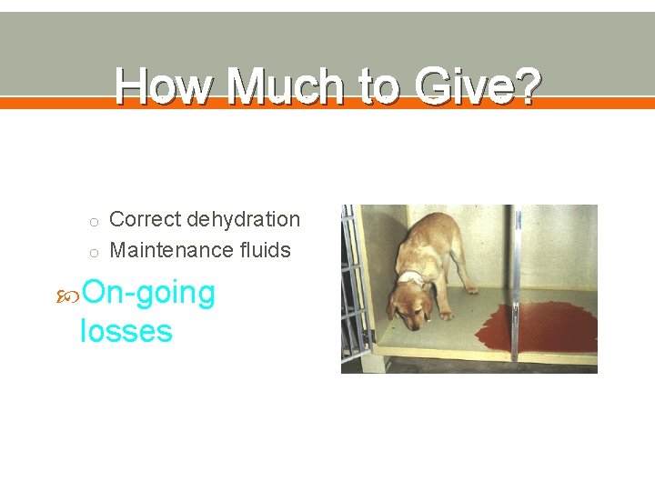 How Much to Give? o Correct dehydration o Maintenance fluids On-going losses 
