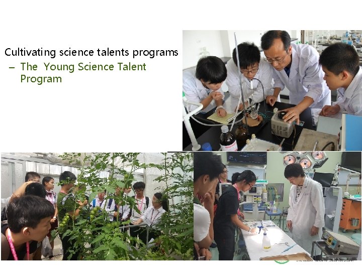 Cultivating science talents programs – The Young Science Talent Program 13 Cultivating science talents programs – The Young Science Talent Program 13