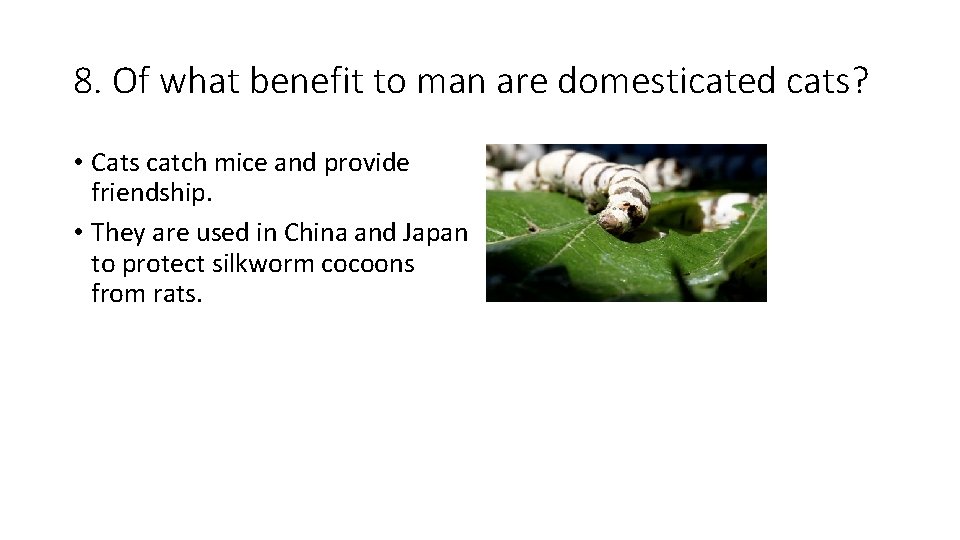 8. Of what benefit to man are domesticated cats? • Cats catch mice and