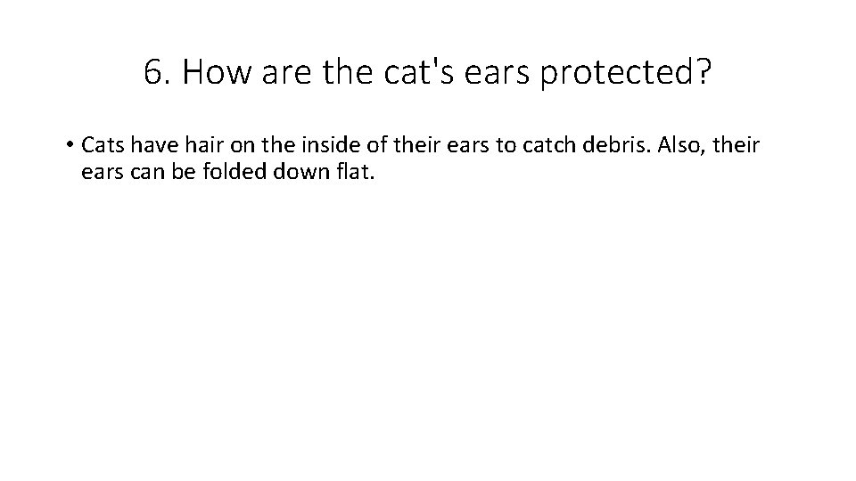 6. How are the cat's ears protected? • Cats have hair on the inside