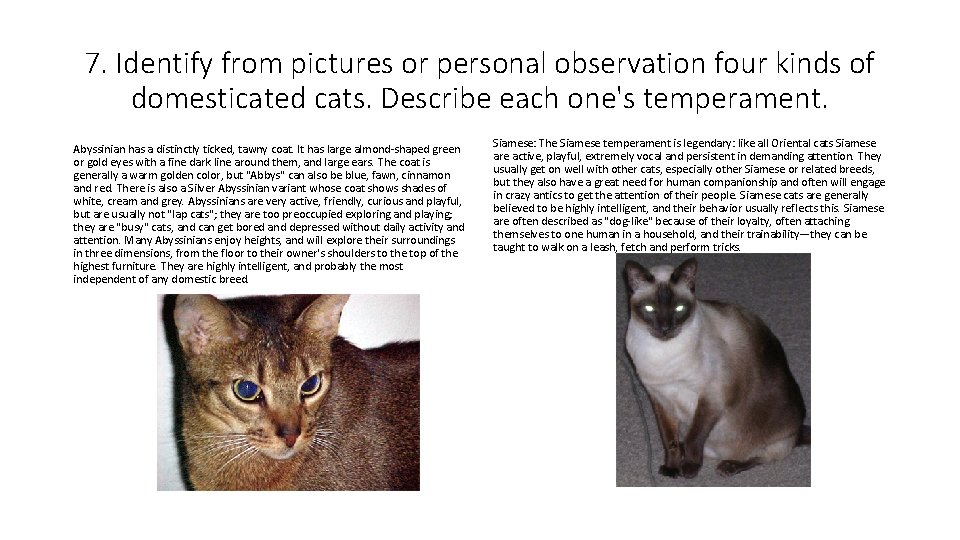 7. Identify from pictures or personal observation four kinds of domesticated cats. Describe each
