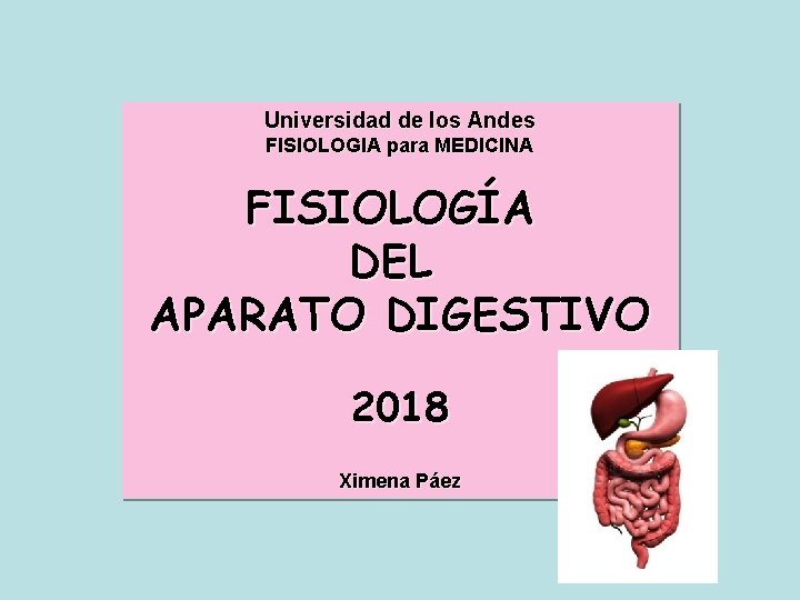 Universidad de los Andes FISIOLOGIA para MEDICINA FISIOLOGÍA DEL APARATO DIGESTIVO 2018 Ximena Páez Universidad de los Andes FISIOLOGIA para MEDICINA FISIOLOGÍA DEL APARATO DIGESTIVO 2018 Ximena Páez