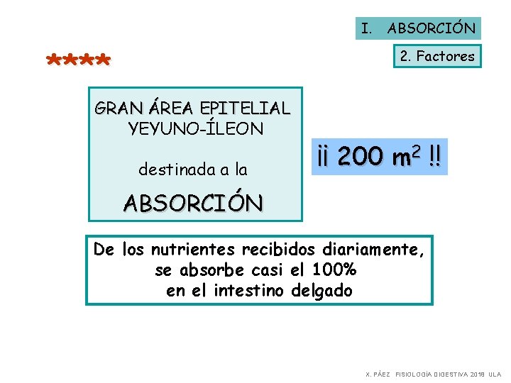 I. ABSORCIÓN **** 2. Factores GRAN ÁREA EPITELIAL YEYUNO-ÍLEON destinada a la ¡¡ 200